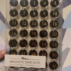 Erin Condren Neutral Date Dot Magnets Set Of 31